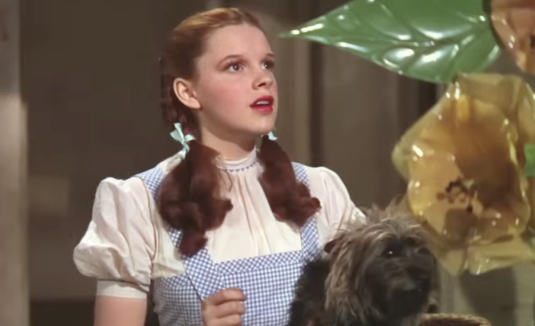 MeTV To Air ‘The Wizard of Oz’ For The Film’s First Broadcast TV Appearance In 30 Years